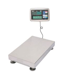 Digital Platform Scale 1อัน