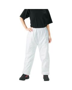 Tyvek [RU] Work Clothes (trousers)