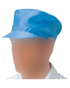 Clean room cap