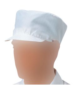 Clean room cap