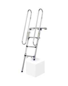 Ladder with hand frame
