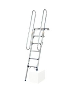 Ladder with hand frame