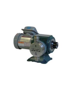 Motor-Driven Metering Pump Model E 1อัน