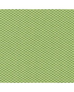 สีเก้าอี้ท่อ: ที่นั่ง: เขียว / พนักพิง: ขาว