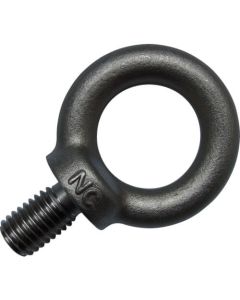 Eye Bolt (steel)