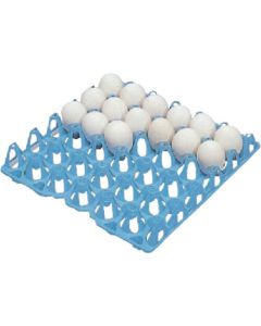 Container for Eggs 1อัน