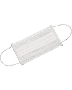 3PLY Pleats Mask