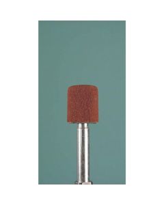 Abrasive Cap Sander ถุงละ 20เส้น