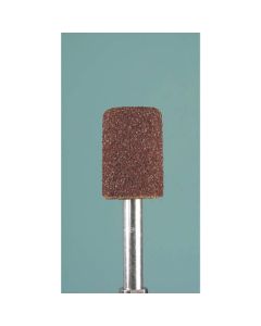 Abrasive Cap Sander ถุงละ 20เส้น