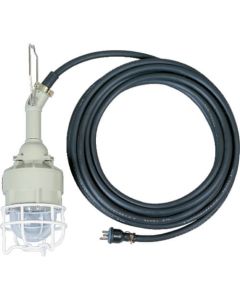 Explosion-Protection Light
