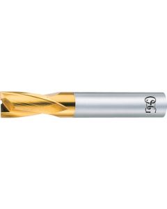 TiN Coated 2 Flutes for Key Way