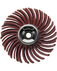 Brush for Polish