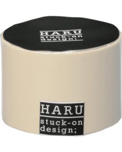 Haru 8อัน