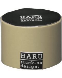 Haru 8อัน