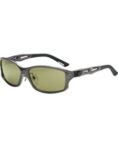 Porarized Glasses STELTH