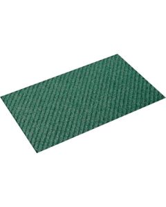 Anticeptic Mat & Solution