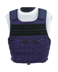 MSTV500