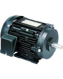 มอเตอร์ประสิทธิภาพสูง Premium Gold Motor 7.5 kW 4 เสา