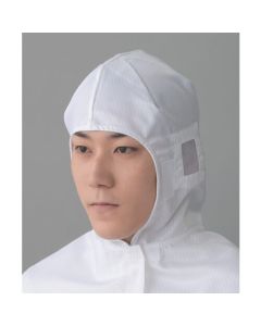 Cleanroom Hood 1อัน
