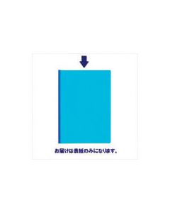 สีแบบราง CH ฝาครอบ BL FL-186RH (93101)