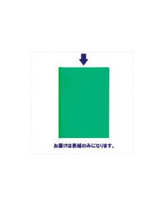 สีแบบราง CH ฝาครอบ GR FL-186RH (93102)