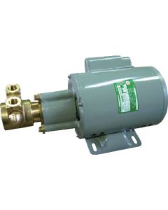 Motor Pump 1อัน