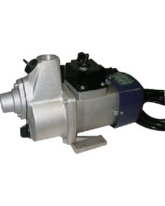 ปั๊ม FS รุ่น 100V