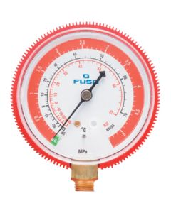 Manifolds Gauge
