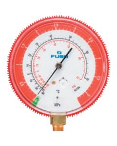 Manifolds Gauge