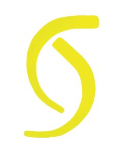 Seal for lanyard