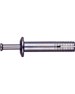All AnchorFT type(Steel) 100เส้น