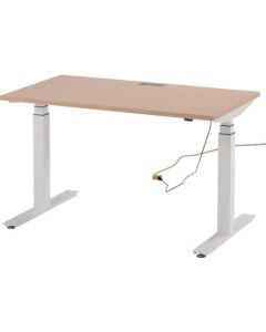 Electric Lifter Work Table