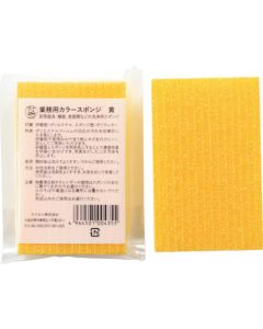 Color Sponge 10 อัน