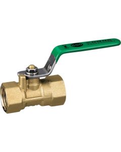 Ball Valve FS Series Reduced Bored(RoHS)