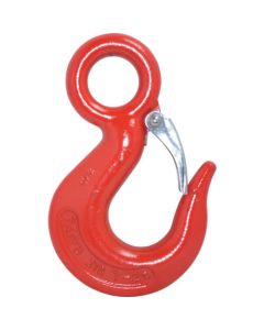 Eye Hook(c/w Latch)
