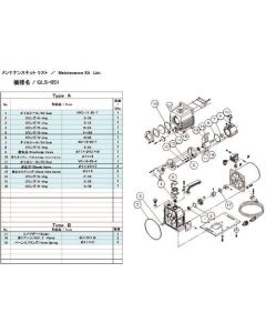 Maintenance Kit for Vacuum Pump