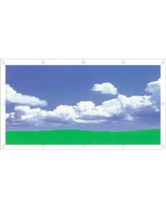 GS-4 1แผ่น
