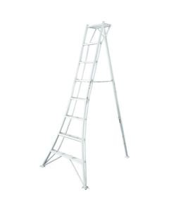Aluminun Tripod