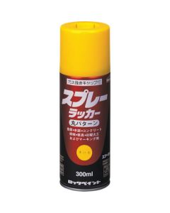 SPRAY LACQUER 48เส้น