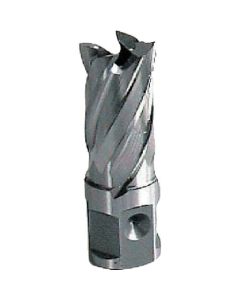 HSS Cutters 1อัน