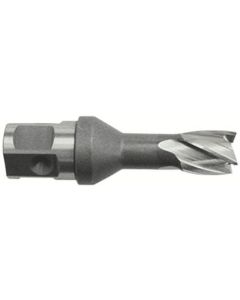 25SQ HSS Cutter 1อัน