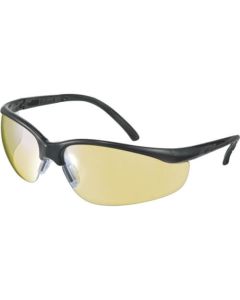 Safety Goggle