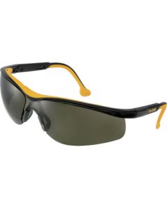 Safety Goggle