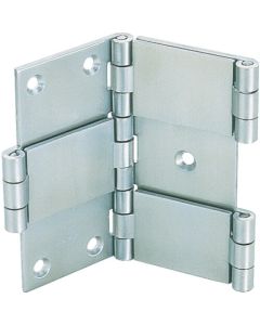 Double Action Hinge