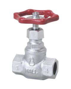 Globe Valve(10K)