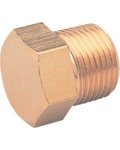 Hexagon Plug 1อัน