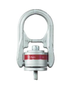 Hoist Ring