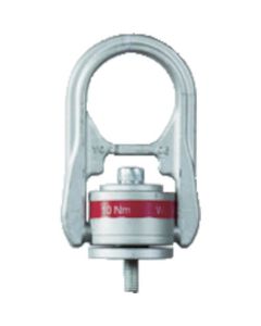 Hoist Ring