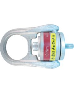Hoist Ring
