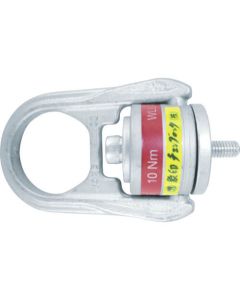 Hoist Ring